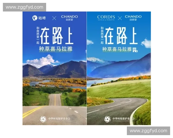 体育代言新生态下品牌价值与运动明星影响力深度解析趋势研究路径